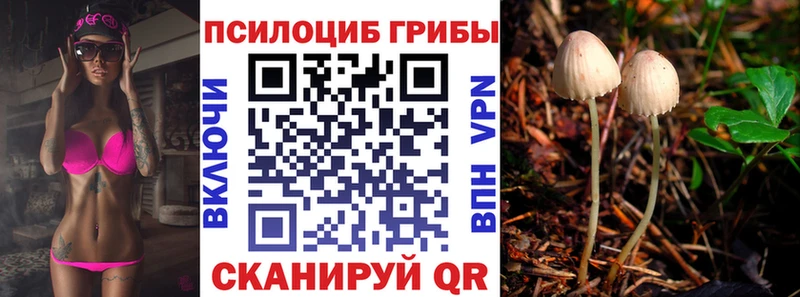 нарко площадка официальный сайт мега онион Сретенск Галлюциногенные грибы GOLDEN TEACHER